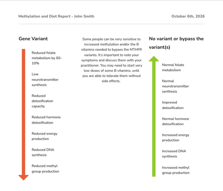 Example report page: what a gene variant can mean, with SNP outcomes.