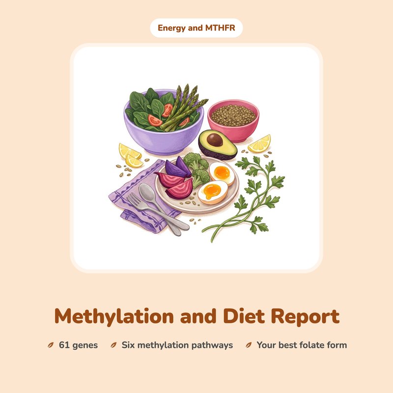 Methylation and Diet Report: an illustrated breakfast of greens, eggs, lentils and tea.