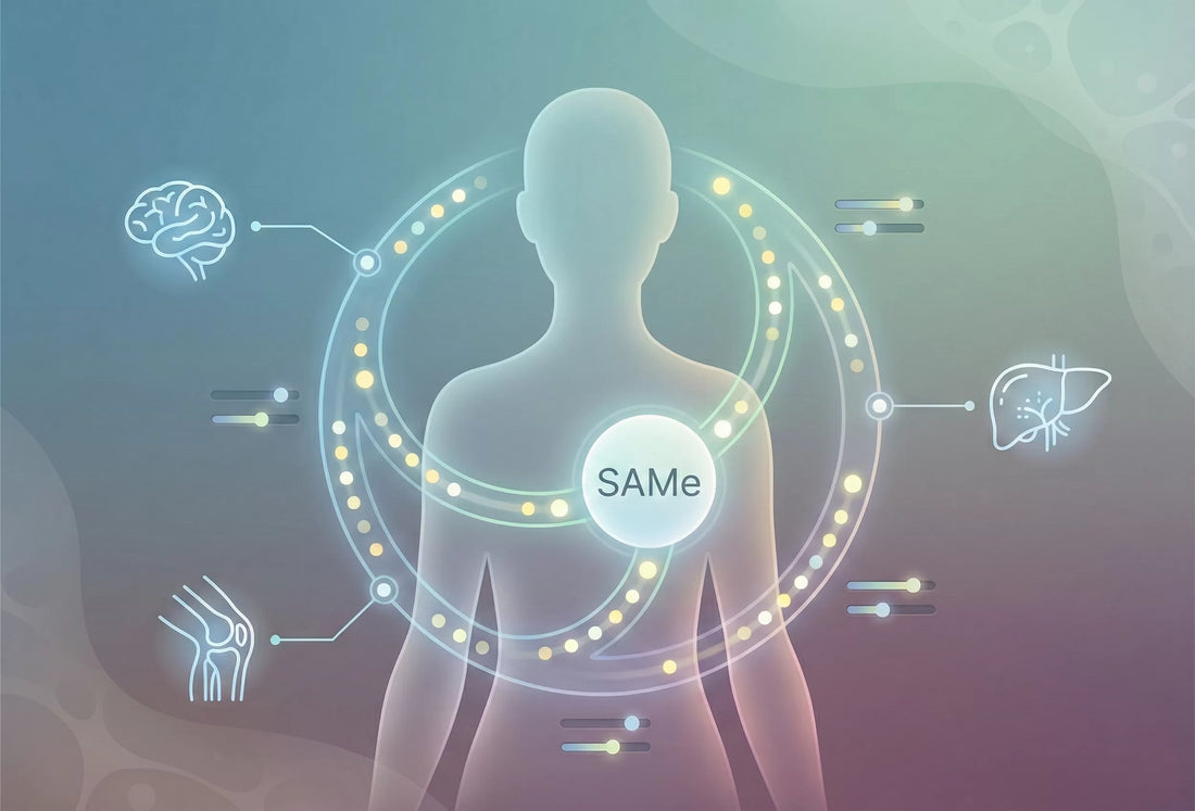SAMe and Methylation: What It Is and Why It Matters To You