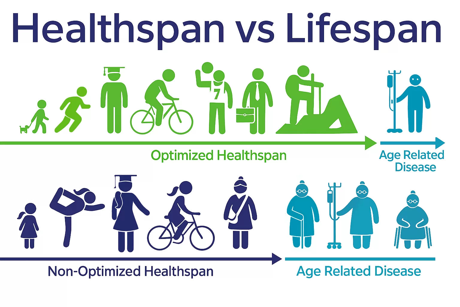 healthspan vs lifespan