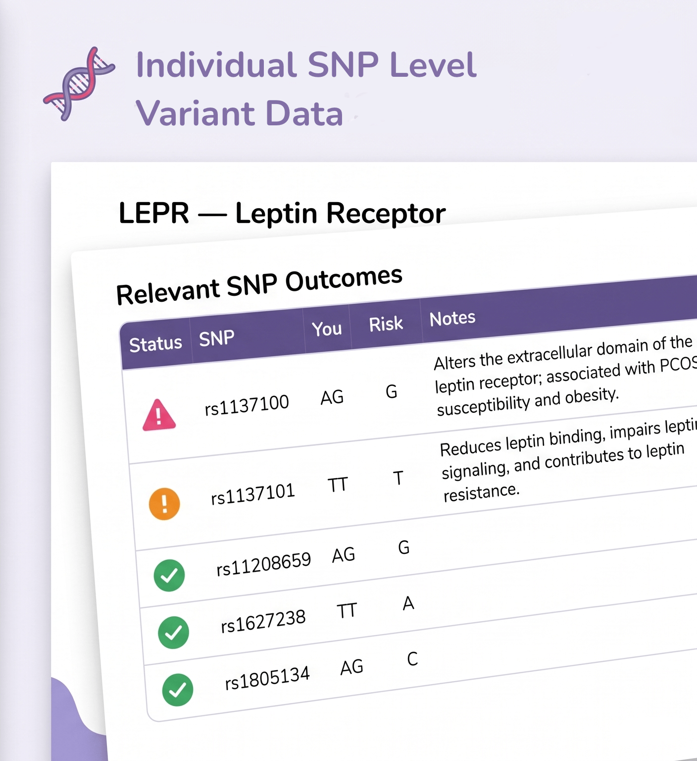 Screen displaying SNP variant data for the leptin receptor with relevant SNPs and their outcomes.
