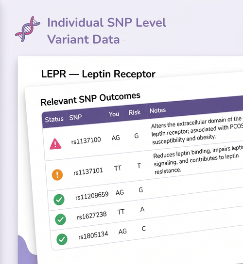 Screen displaying SNP variant data for the leptin receptor with relevant SNPs and their outcomes.