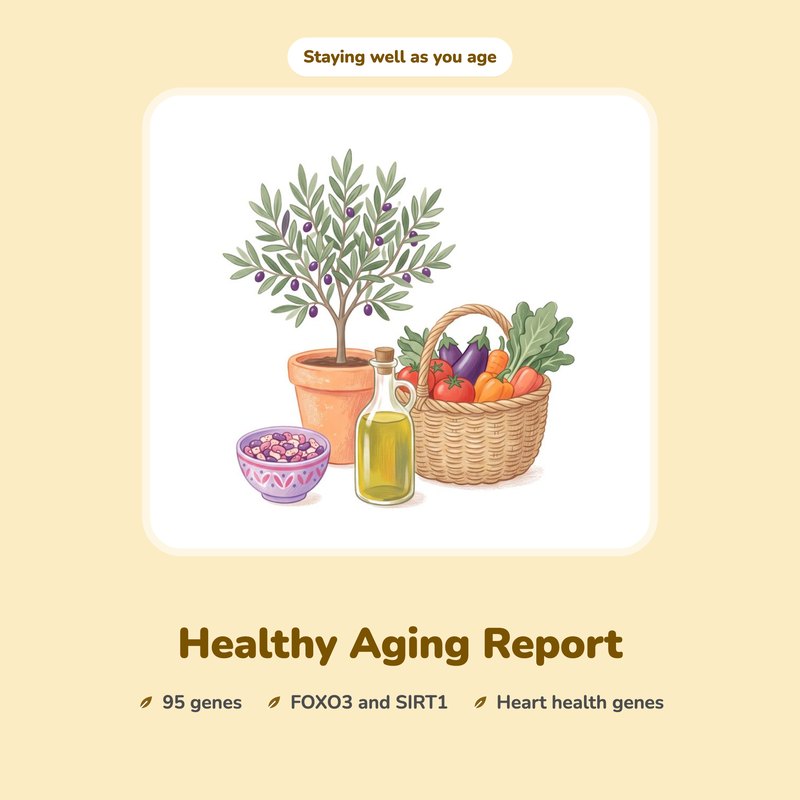 Healthy Aging Report: an illustrated olive tree, olive oil and a basket of vegetables.