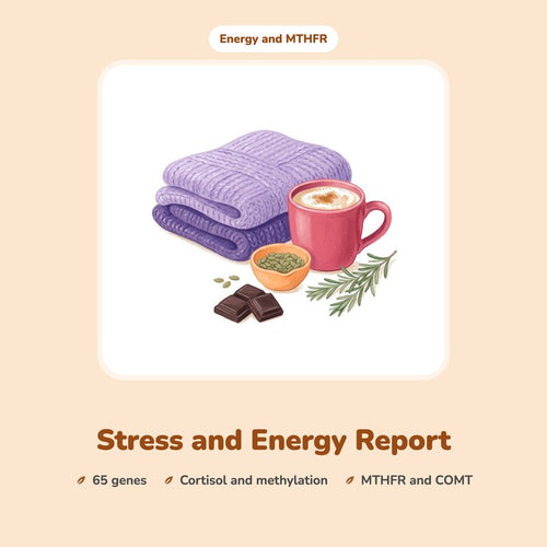 Stress and Energy Report: an illustrated warm drink, pumpkin seeds and dark chocolate beside a folded blanket.
