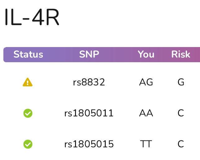 The IL-4R gene page in an example report: a table of variants with the letters read from the file and a status mark for each.