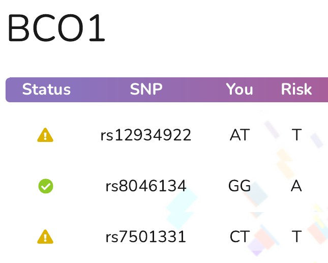 The BCO1 gene page in an example report: a table of variants with the letters read from the file and a status mark for each.