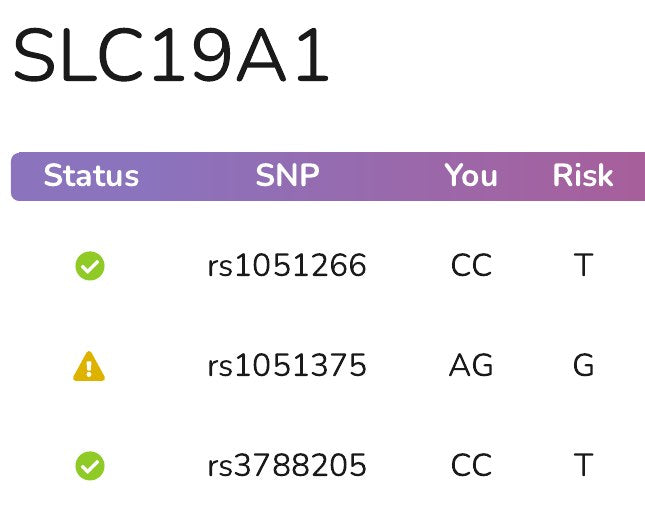 The SLC19A1 gene page in an example report: a table of variants with the letters read from the file and a status mark for each.