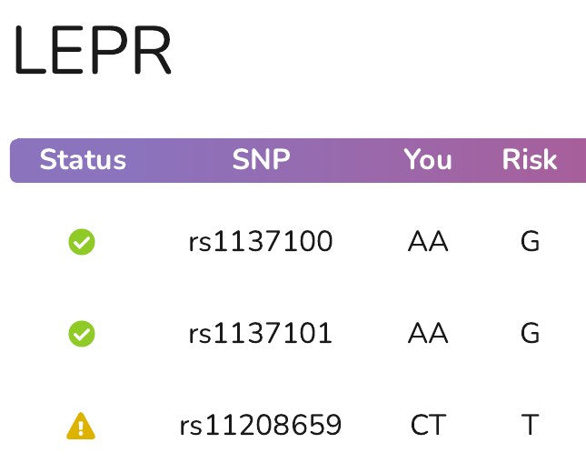 The LEPR gene page in an example report: a table of variants with the letters read from the file and a status mark for each.