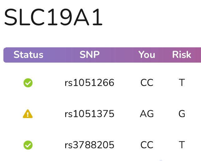 The SLC19A1 gene page in an example report: a table of variants with the letters read from the file and a status mark for each.