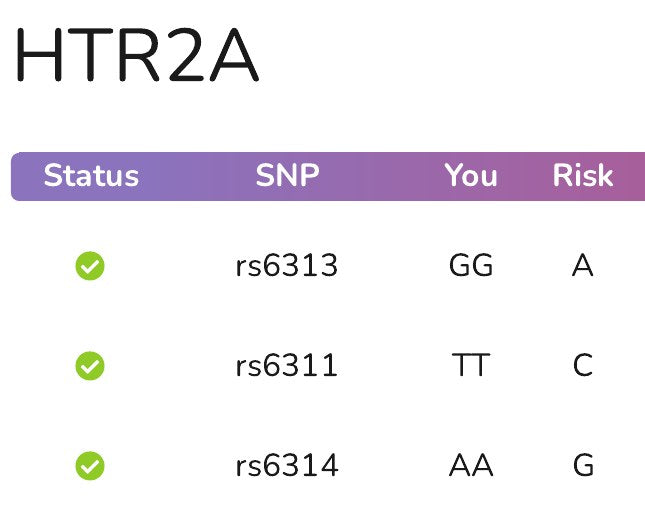 The HTR2A gene page in an example report: a table of variants with the letters read from the file and a status mark for each.